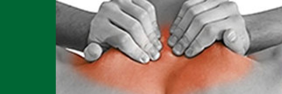 attivita_10 Visite Mediche Fisiatriche